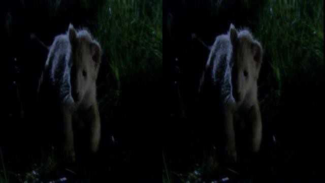 120821ab7feg4t7ts09obe.jpg