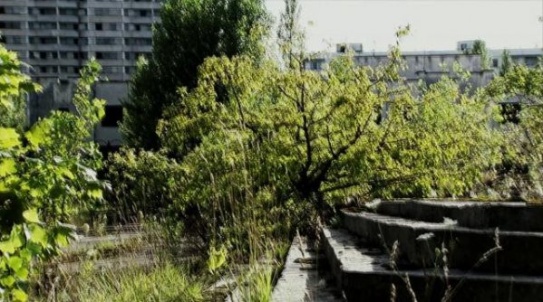 120918fzmrv9t2t1ga5vt5.jpg
