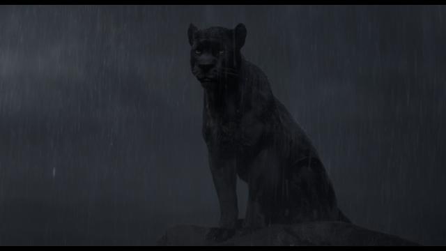 122938e65sh7njj6xqxy6s.png