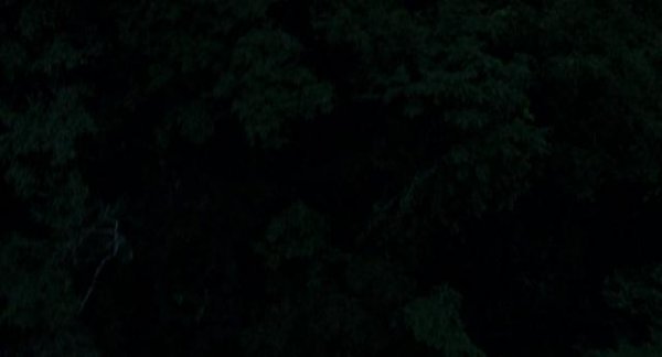 114510n9beqdgzb8vpyx6x.png