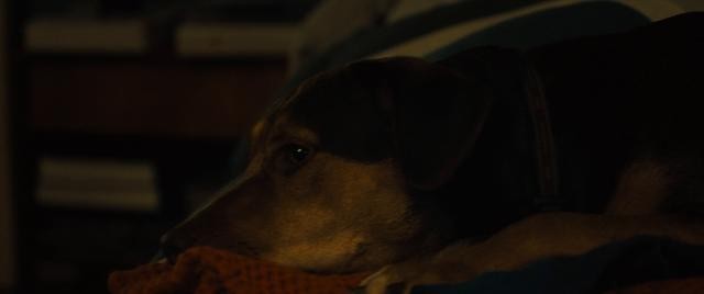 112824oszka0gsdcvdab8r.jpg