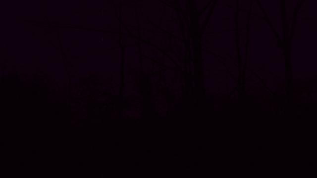 233344i7242lh6v9spv3w2.png